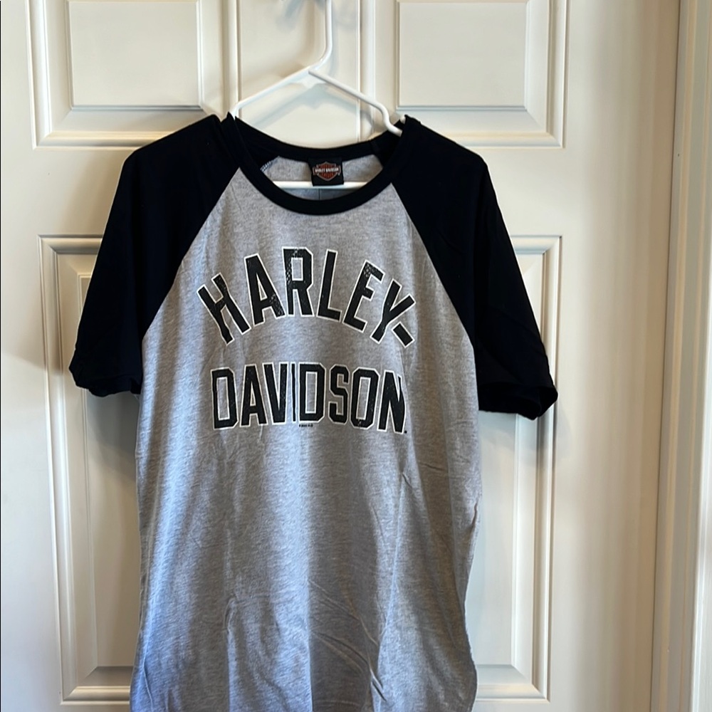 Harley-Davidson Gray and Black Short Sleeve Tee with Bold Logo